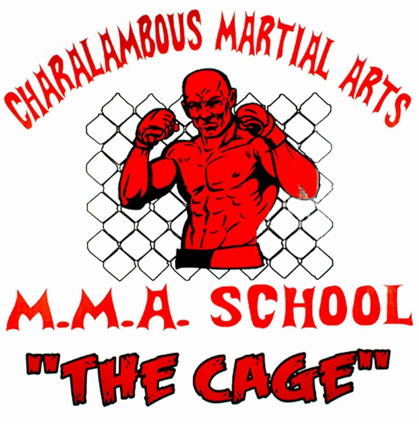 Kateryna Biloruska Foundation - mma-school-the-cage